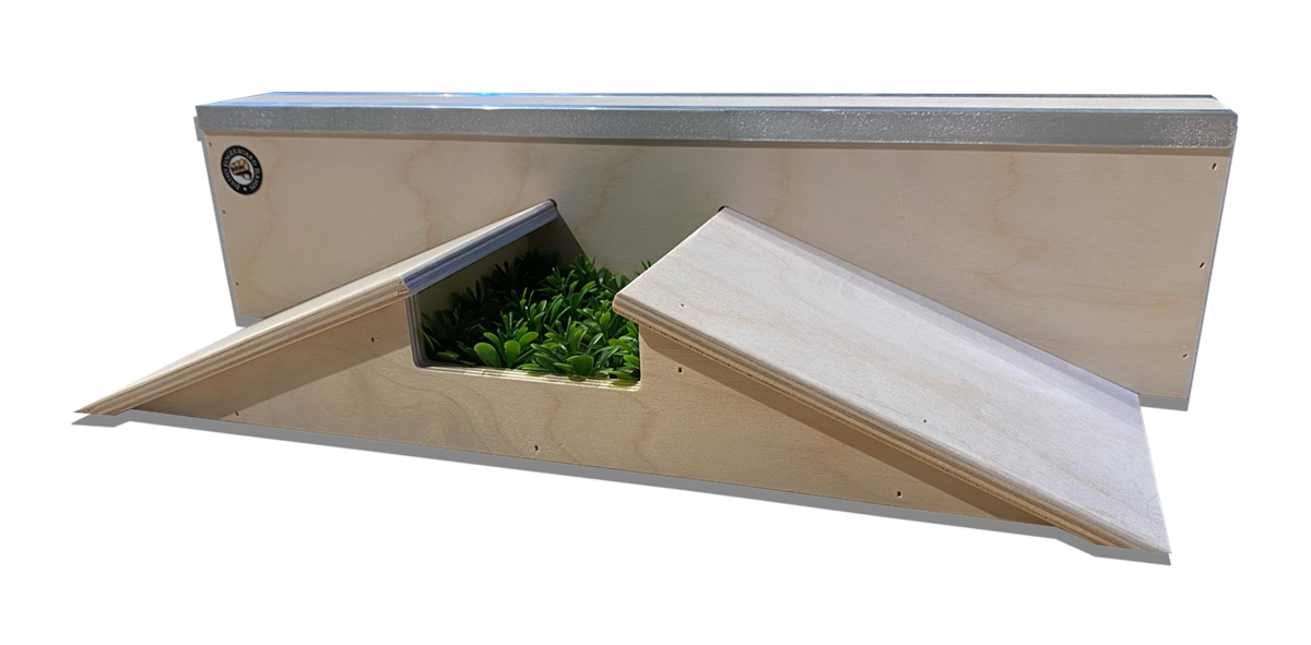 Filthy Fingerboard Ramps - Washington Wall Gap