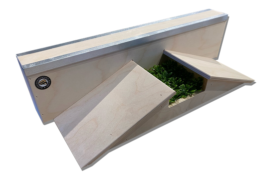 Filthy Fingerboard Ramps - Washington Wall Gap